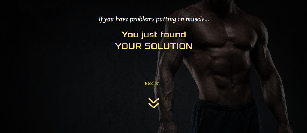Hardgainer Solution Complete fitness Course