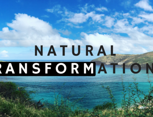 Justin Marc – Natural Transformations – Lets Get Girls