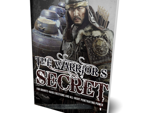The Warrior’s Secret