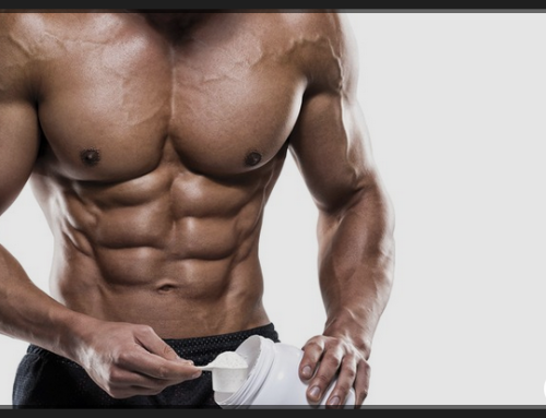 12 Week Muscle Building & Fat Loss Transformation Program