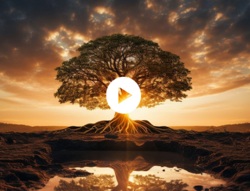 John Demartini – Clarify Your Purpose